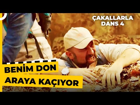 Allah Belamızı Verdi İyi Günler | Çakallarla Dans 4