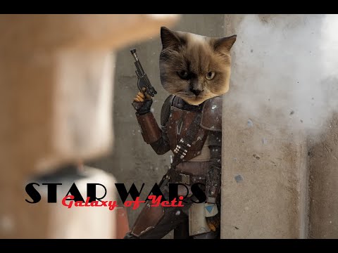 Grand Arena Championship Season 3 Week 3 Round 3 -- Championship Battle!