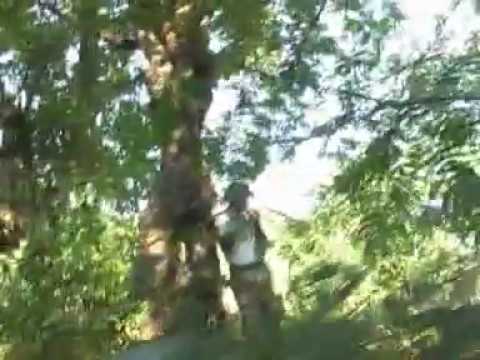 Omayioza by 2rich - Old Ebira music