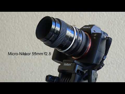 Vintage Macro Lenses - clarity perfection