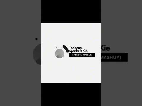 Teebone, Sparks & Kie - Flybi (DTM Mashup Mix)
