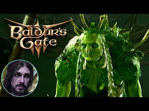 The Crazy Hag in the Bog - Baldur's Gate 3 Adventures