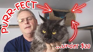 Cheap and Easy Cat Bed for adventurous cats.