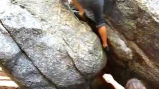 With fronds like these, who needs anemones?