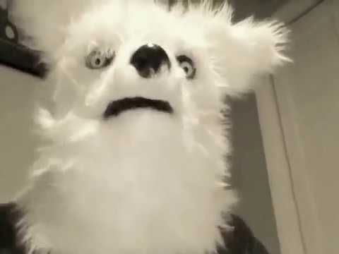 The Weirdest Wolf ever!?