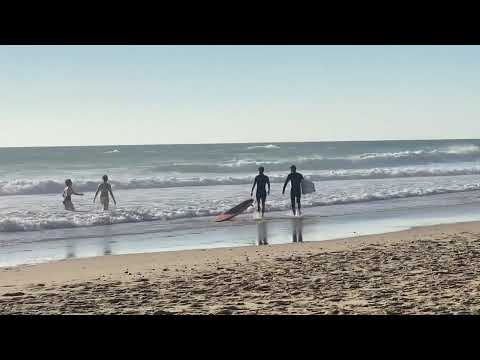 Plages de l'océan (Hourtin-Plage)