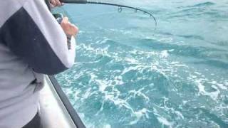 preview picture of video 'Spencer Gulf Fishing Charters South Australia'