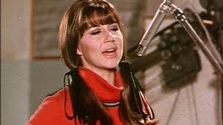 The Seekers - I&#39;ll Never Find Another You 1965 STEREO