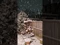 Snow ️ Winter White Snow London UK