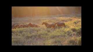 Will You Remember me?