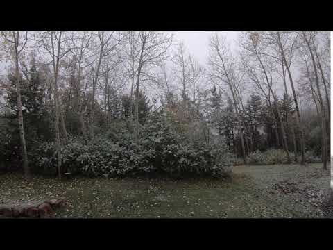 Before and After of Minnesota’s First Snow Storm of the 2020-2021 Season | 4K