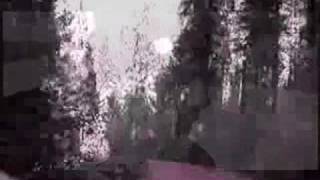 Team Sleep - Ever Since WW1