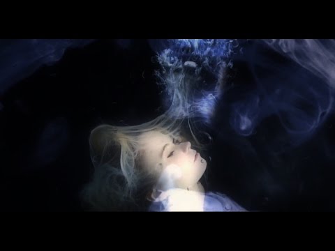 Defeat The Low - Turn to Hate (Official Lyric Video)