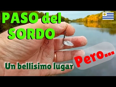 PESCA EN PASO DEL SORDO.