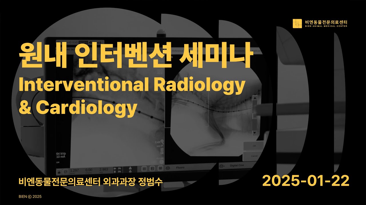 비엔 원내 인터벤션 세미나 : Interventional Radiology & Cardiology - 외과과장 정범수