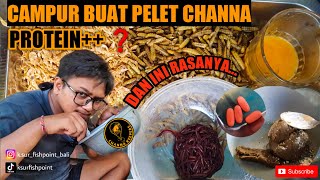 Download lagu CARA BUAT SEDERHANA❗️BAHAN PELET UNTUK CHANNA❗️ALAMI TANPA BAHAN KIMIA❗️PROTEIN   mp3