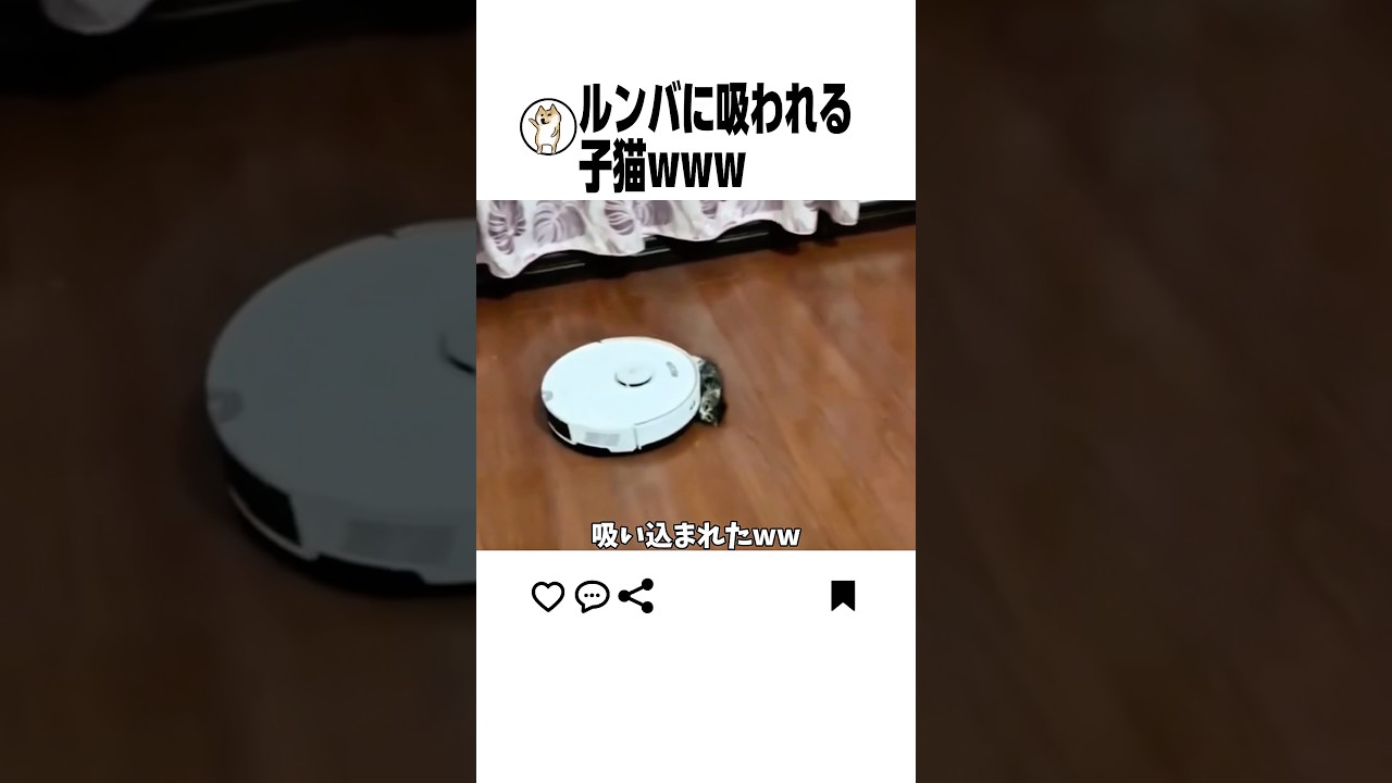 赤ちゃんペット飼ってる人気をつけてwww