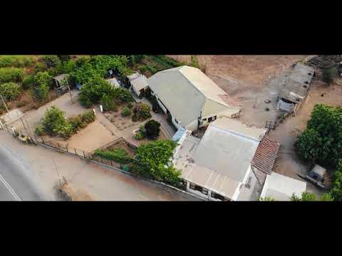 BANDA 6 - SONRIÉNDOME ESTÁS