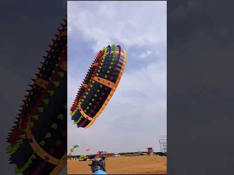 the world's biggest kite
