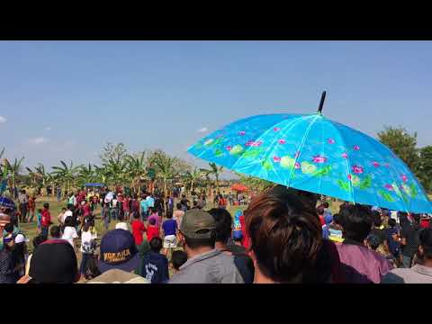 Full tawuran pallapa Demak IPH (ikatan remaja harjowinangun)