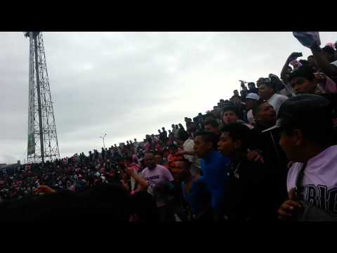 "Juventud rosada yo rosado soy" Barra: Barra Popular Juventud Rosada &bull; Club: Sport Boys