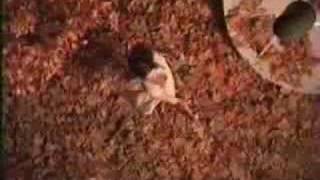 Dave Matthews Band - Satellite