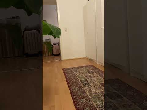 What will little Pietro be?