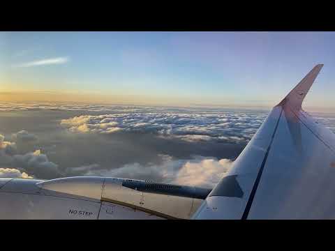 Lufthansa Airbus A320neo | Berlin (BER)-Frankfurt (FRA) | Take Off RWY 07R | Hoffmannkurve | Sunset