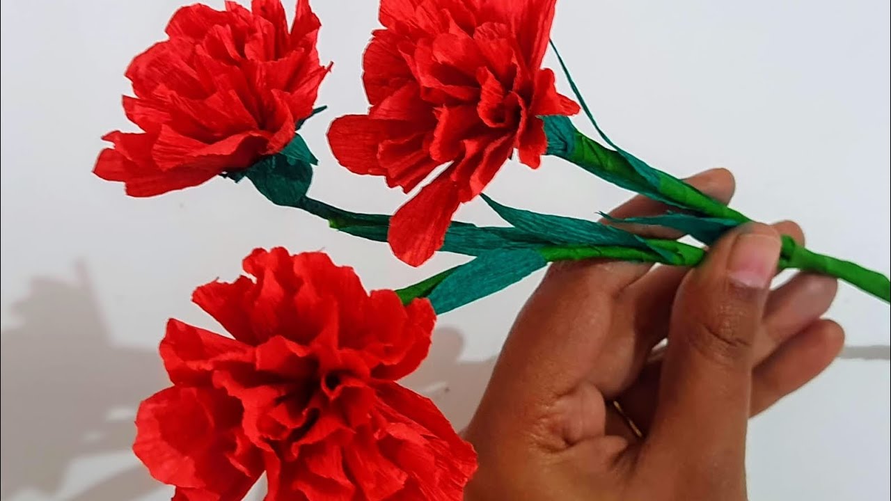 Blossoming Beauty: A Step-by-Step Guide to Crafting Carnation Paper Flowers