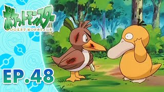 Pokémon the Series: The Beginning | EP. 48 | Jangan-Jangan Farfetch'd?! | Pokémon Indonesia