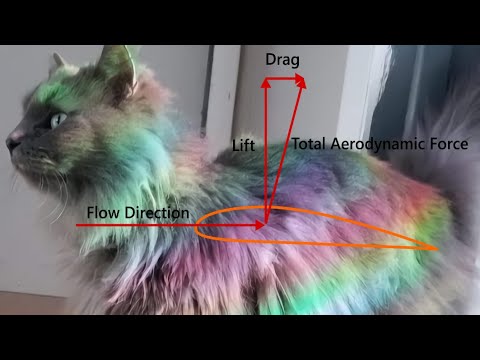 VYX BLV$ - GORGEOU$ + lyrics(cc) 🕸️