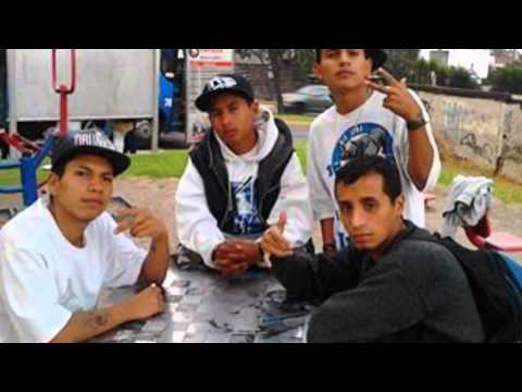 05.RIMA VIVA FT RANSA COMPANY HAS 2014