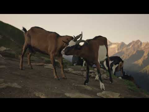 SonnenAufgangsGondel Ahorn I Mayrhofner Bergbahnen