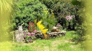 preview picture of video '...A Belvì (nuoro) giardino incantato'