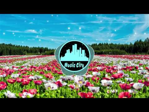 Heart Pound - Ramin feat. Nahra [2010s Pop]