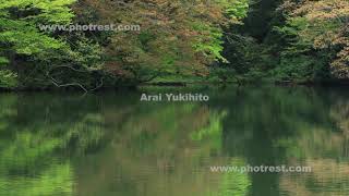 新緑の鶏頭場の池