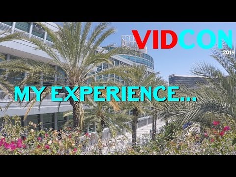 My Experience at VidCon 2019... ft. McJuggerNuggets, Lance Stewart, Boogie2988