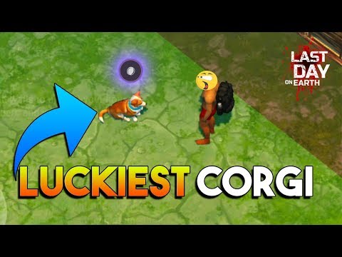 CORGI'S PERKS  |  SEASON REWARDS  |  LAST DAY ON EARTH: SURVIVAL