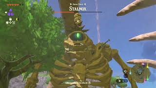 Beating Stalnox (Hanu Pond Tears of the Kingdom)