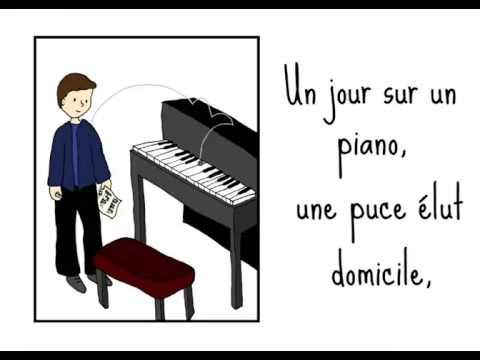 La puce et le pianiste - Yves Duteuil