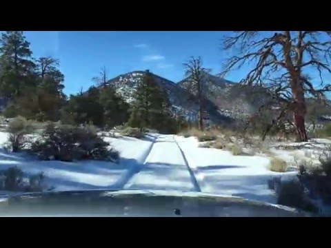 Adventure Driven Exploring in the Snow with Lexy