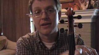 Violin Lessons; Introduction and purpose