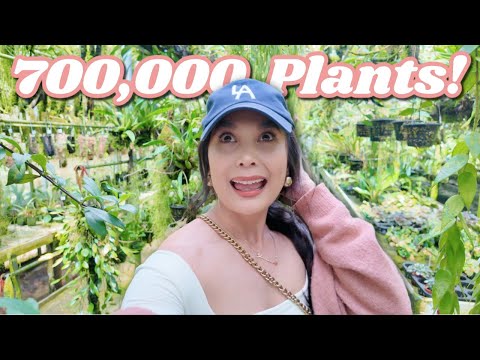 700,000 Plants!🪴Shopping for the Cutest & Most Unique Plants at a Nursery!