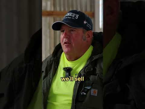 Hilliker's Egg Ranch