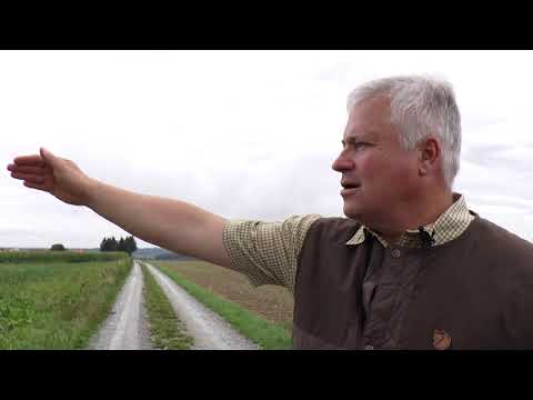 Gegen die Stromtrasse – der Widerstand gegen den SuedOstLink wächst