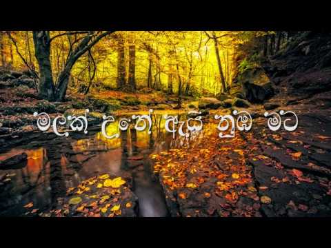 Malak Une Ai Numba mata - Guitar cover by Roshila Hettiarachchi