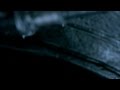 AVP Alien Vs Predator 2004 Teaser Trailer