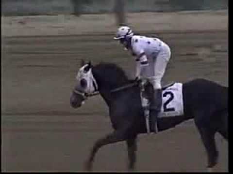 Wood Memorial Stakes - 2009 - USA - Vencedor: I Want Revenge