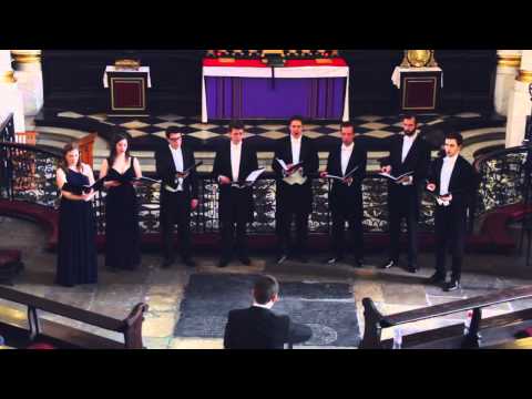 Platinum Consort - In The Dark