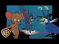 Tom Y Jerry En Latino Momentos Escalopectaculares Halloween WBKidsLatino